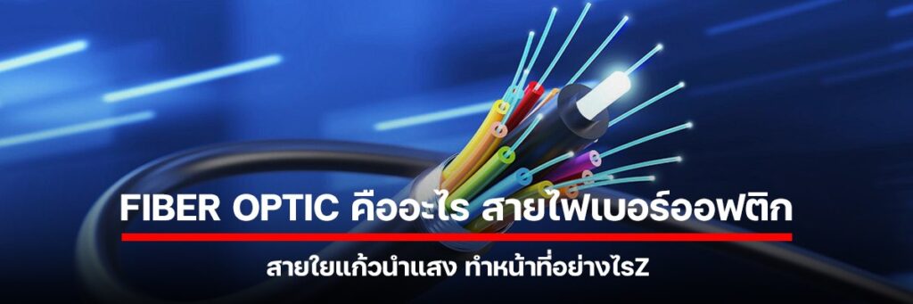Fiber Optic